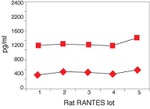 Rat RANTES ELISA Kit