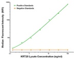 KRT20 Antibody in Luminex (Luminex)