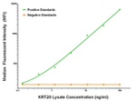 KRT20 Antibody in Luminex (Luminex)
