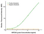 KRT20 Antibody in Luminex (Luminex)
