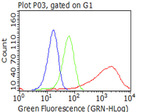 KRT7 Antibody in Flow Cytometry (Flow)