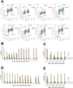 Ki-67 Antibody in Flow Cytometry (Flow)