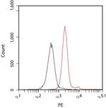 Ki67 Antibody in Flow Cytometry (Flow)