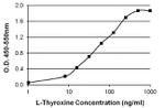 L-Thyroxine T4 Antibody in ELISA (ELISA)