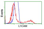 L1CAM Antibody in Flow Cytometry (Flow)