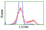 L1CAM Antibody in Flow Cytometry (Flow)