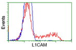 L1CAM Antibody in Flow Cytometry (Flow)