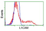 L1CAM Antibody in Flow Cytometry (Flow)