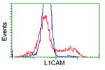 L1CAM Antibody in Flow Cytometry (Flow)