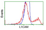 L1CAM Antibody in Flow Cytometry (Flow)