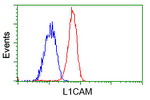 L1CAM Antibody in Flow Cytometry (Flow)