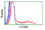 L1CAM Antibody in Flow Cytometry (Flow)