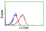 L1CAM Antibody in Flow Cytometry (Flow)