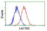 LACTB2 Antibody in Flow Cytometry (Flow)