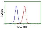 LACTB2 Antibody in Flow Cytometry (Flow)