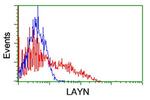 LAYN Antibody in Flow Cytometry (Flow)