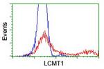 LCMT1 Antibody in Flow Cytometry (Flow)
