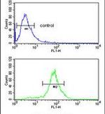 LDHD Antibody in Flow Cytometry (Flow)