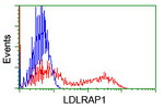 LDLRAP1 Antibody in Flow Cytometry (Flow)