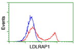 LDLRAP1 Antibody in Flow Cytometry (Flow)