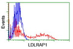 LDLRAP1 Antibody in Flow Cytometry (Flow)