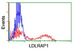 LDLRAP1 Antibody in Flow Cytometry (Flow)