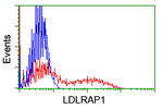 LDLRAP1 Antibody in Flow Cytometry (Flow)
