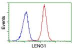 LENG1 Antibody in Flow Cytometry (Flow)