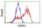 LENG1 Antibody in Flow Cytometry (Flow)