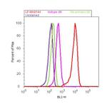 PRDX2 Antibody in Flow Cytometry (Flow)