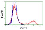 LGR4 Antibody in Flow Cytometry (Flow)