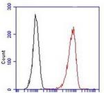 LGR5 Antibody in Flow Cytometry (Flow)