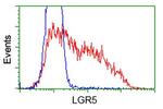LGR5 Antibody in Flow Cytometry (Flow)
