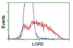 LGR5 Antibody in Flow Cytometry (Flow)