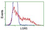 LGR5 Antibody in Flow Cytometry (Flow)
