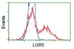 LGR5 Antibody in Flow Cytometry (Flow)