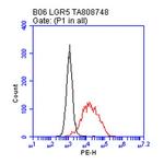 LGR5 Antibody in Flow Cytometry (Flow)