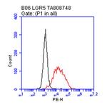 LGR5 Antibody in Flow Cytometry (Flow)