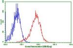 LGR5 Antibody in Flow Cytometry (Flow)