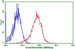LGR5 Antibody in Flow Cytometry (Flow)