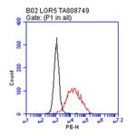 LGR5 Antibody in Flow Cytometry (Flow)