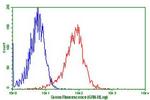 LGR5 Antibody in Flow Cytometry (Flow)