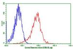 LGR5 Antibody in Flow Cytometry (Flow)