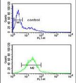 LIMD2 Antibody in Flow Cytometry (Flow)