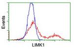 LIMK1 Antibody in Flow Cytometry (Flow)