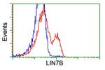 LIN7B Antibody in Flow Cytometry (Flow)