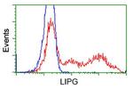 LIPG Antibody in Flow Cytometry (Flow)