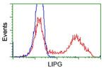 LIPG Antibody in Flow Cytometry (Flow)