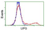 LIPG Antibody in Flow Cytometry (Flow)