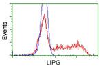 LIPG Antibody in Flow Cytometry (Flow)